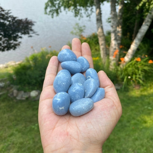 Angelite Tumbled Stones